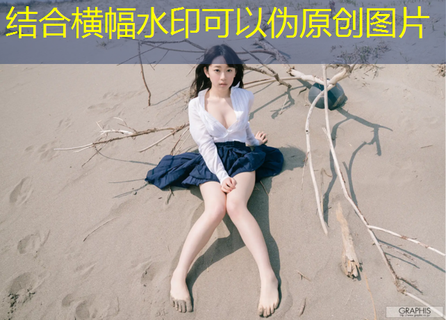 环保型塑胶跑道项目