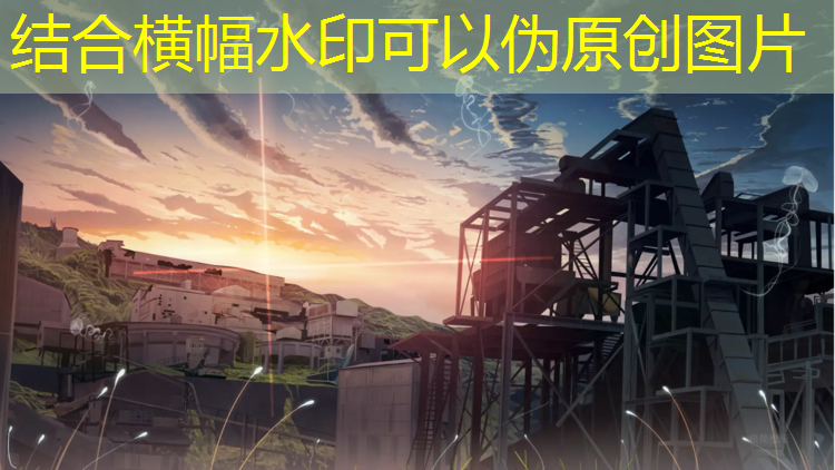 体操服泳装胸垫