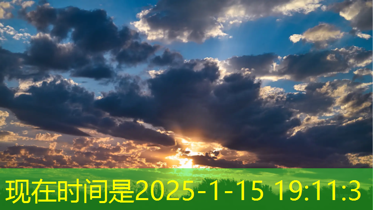 老年踏步机健身器材