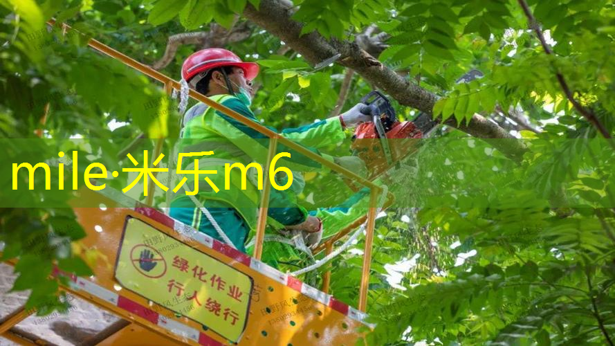 mile米乐m6官网：英国网球拍重量多少克合适