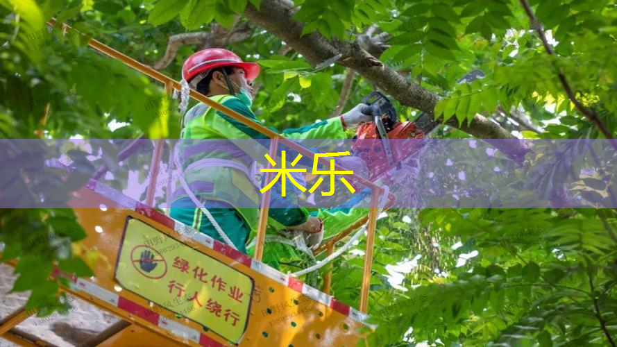 网球拍比一米长