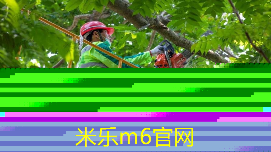 mile米乐m6官网：网球拍拍柄大小0号