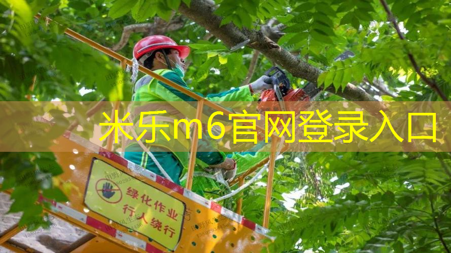 mile·米乐m6：泰摩网球拍子靠谱吗_