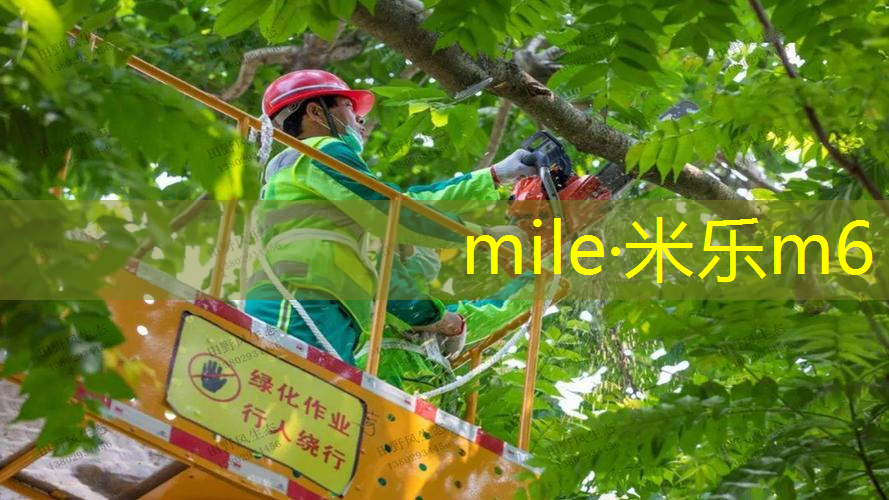 mile·米乐m6：网球拍太震手怎么办