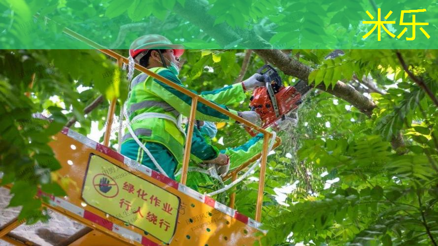 米乐m6官网：网球拍训练器怎样玩