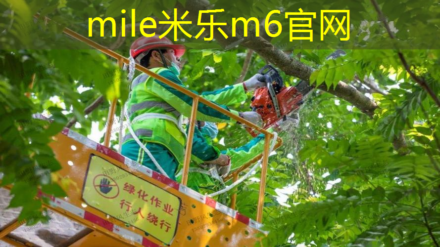 mile米乐m6官网：网球拍边框变形怎么办