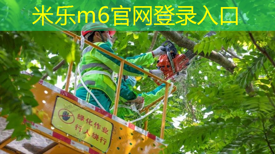 网球拍要不要借别人拍
