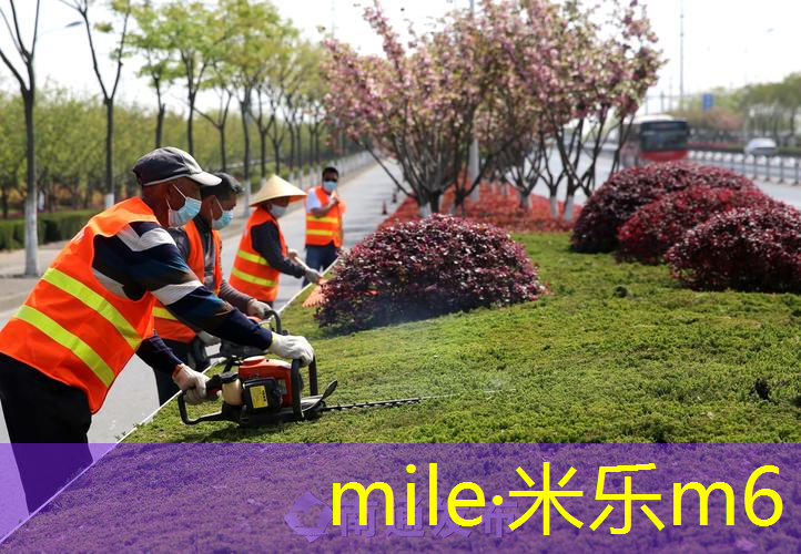 mile·米乐m6：如何使用专业木制甜点网球拍练习
