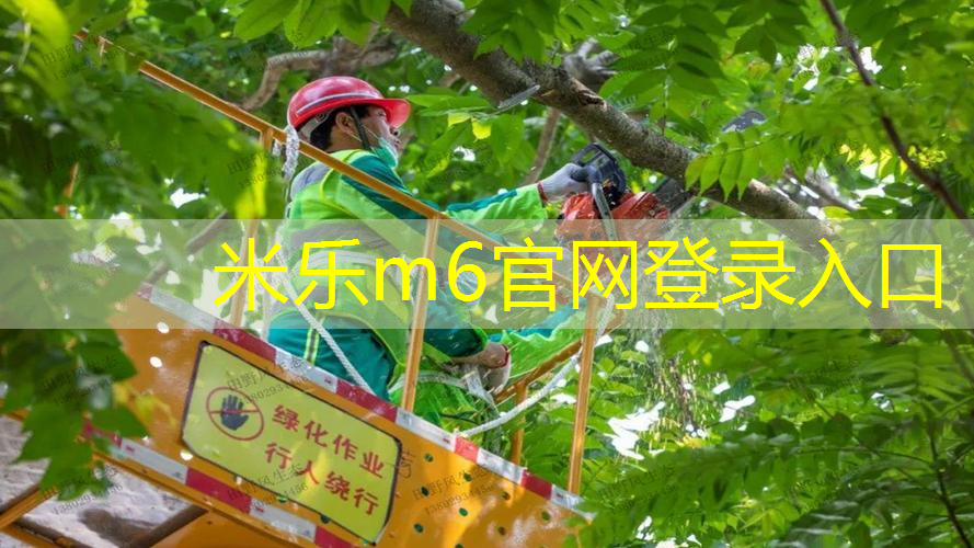 米乐m6官网登录入口：如何学网球拍打法教程图解