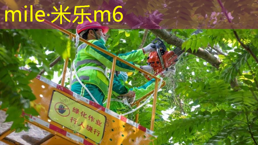 米乐m6官网：威尼尔网球拍价格表