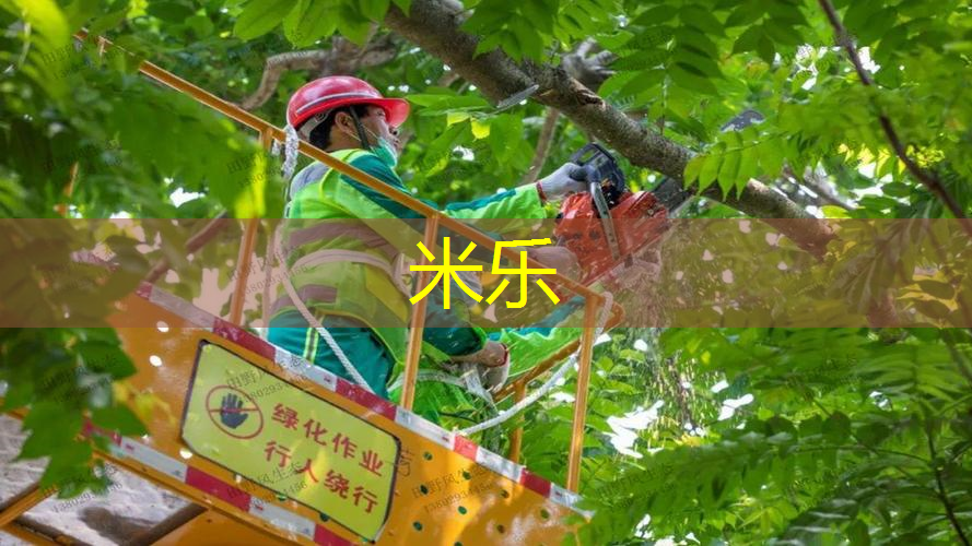 米乐m6官网：把网球拍打坏了怎么赔钱