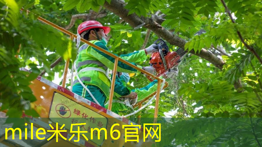 米乐m6官网登录入口：幼儿体智能道具充气网球拍玩法