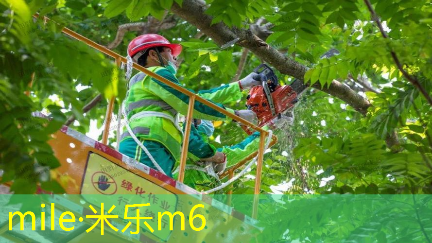 网球拍穿线要多长线合适