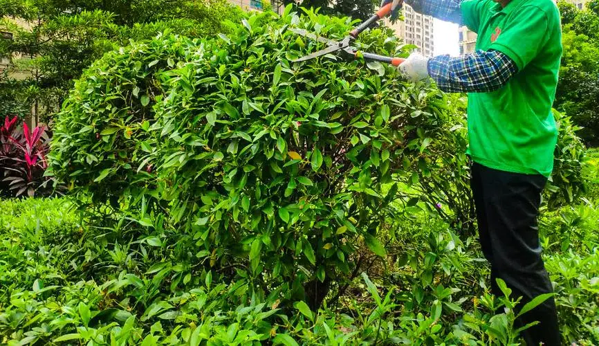 米乐m6官网：最划算的室内健身器材