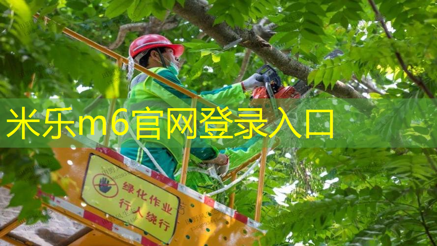 网球拍拍柄大小0号