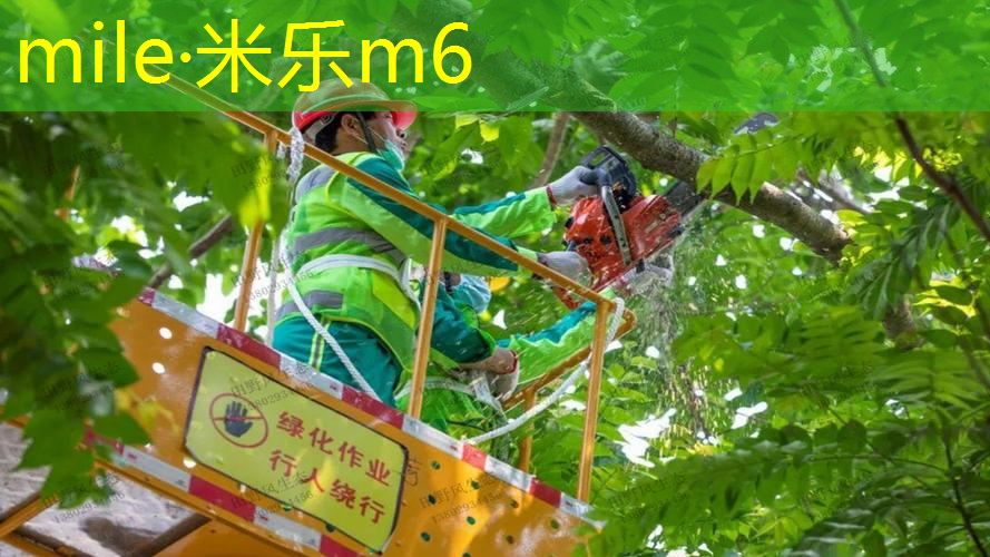 泰摩网球拍子靠谱吗_