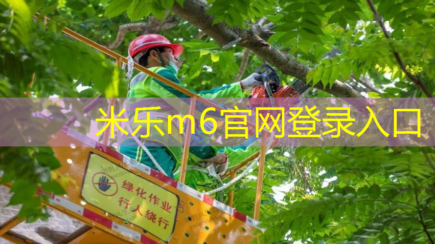 网球拍内柄和手胶区分图
