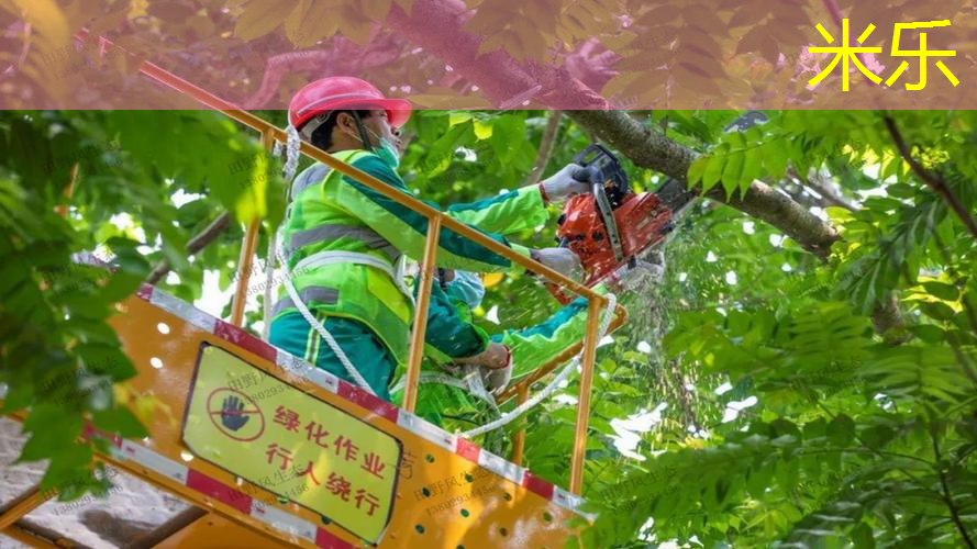 网球拍边框变形怎么办