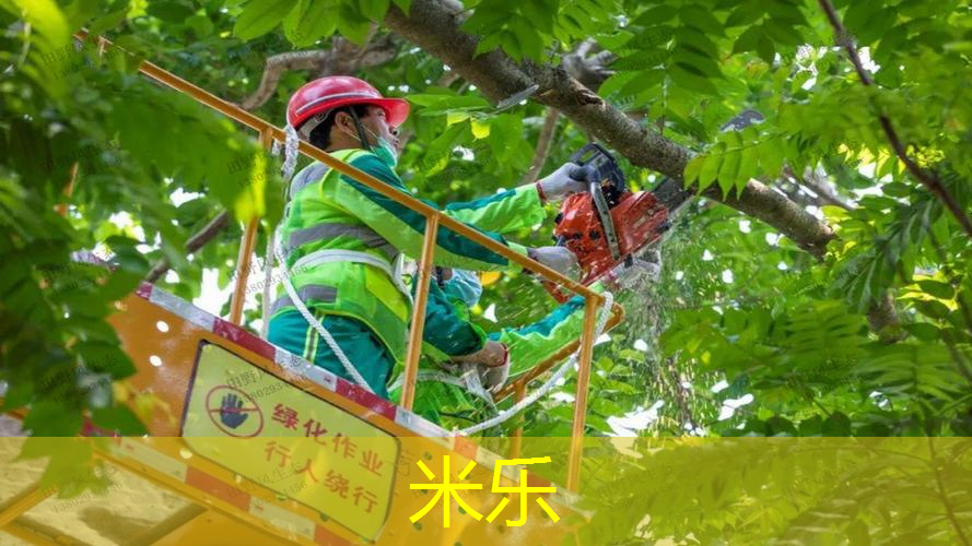 网球拍要不要借别人拍