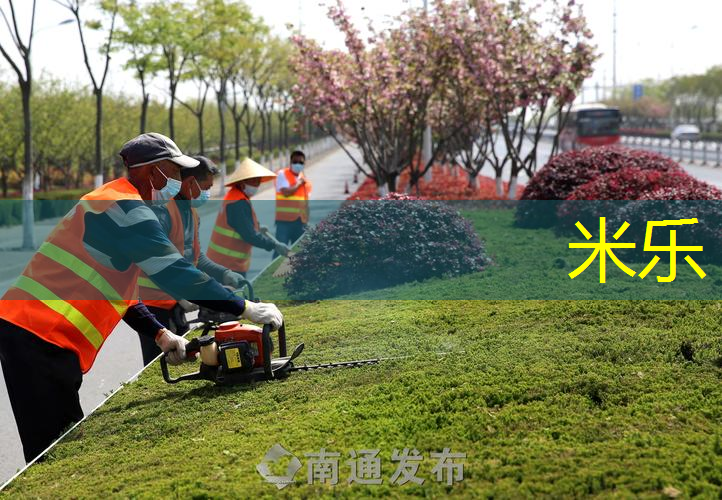 如何使用专业木制甜点网球拍练习