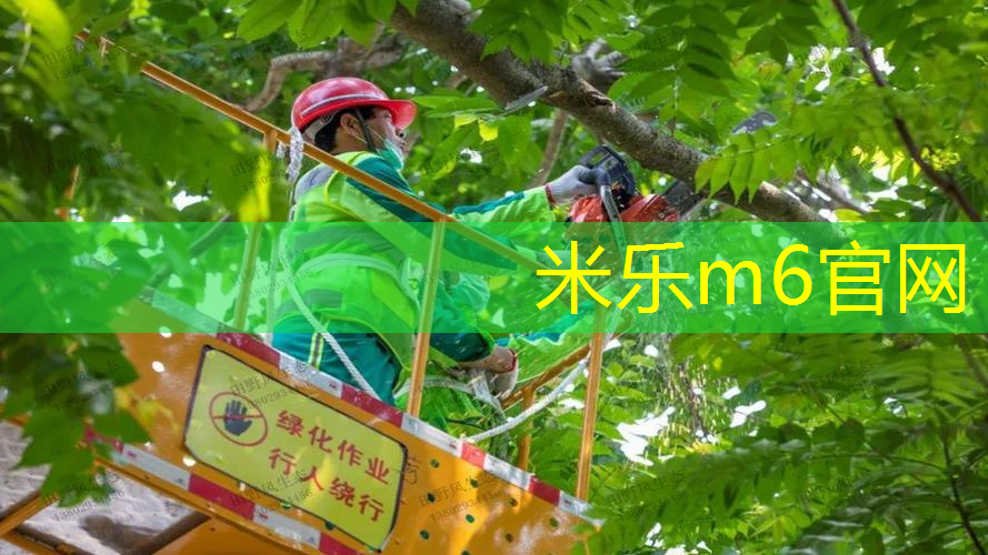 如何学网球拍打法教程图解