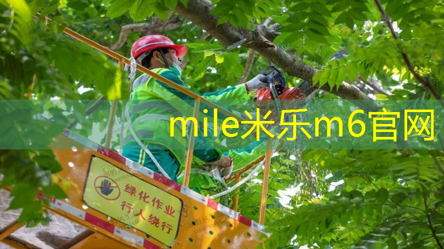 威尼尔网球拍价格表
