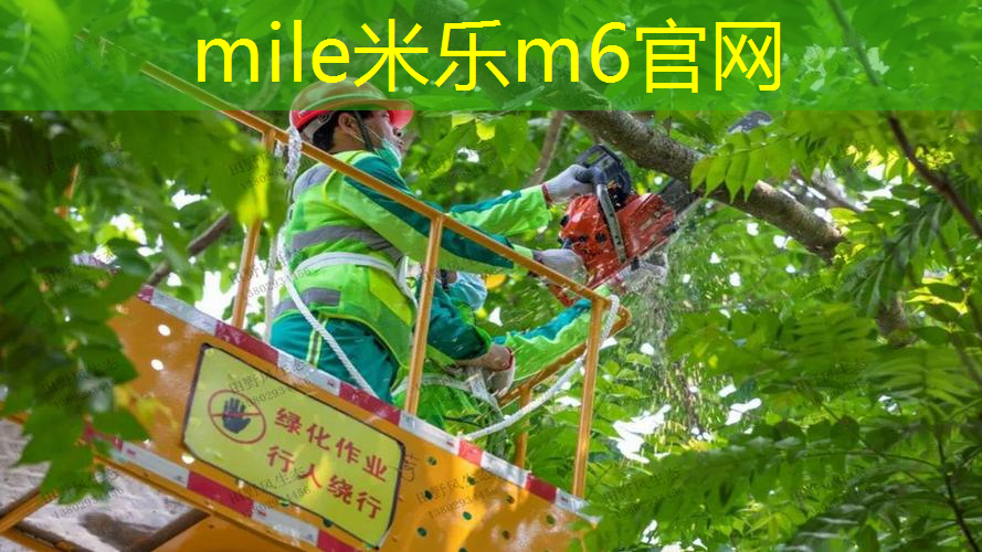把网球拍打坏了怎么赔钱