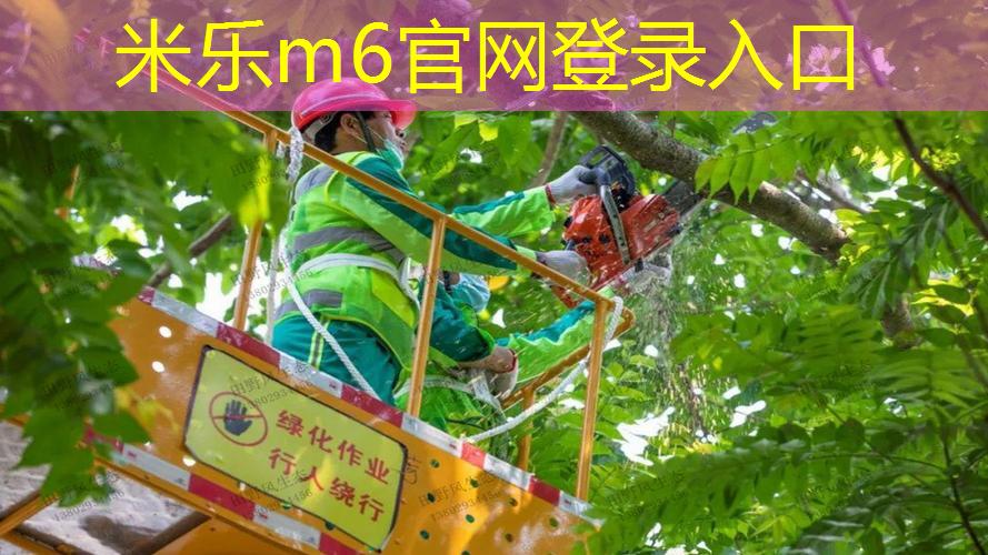 幼儿体智能道具充气网球拍玩法