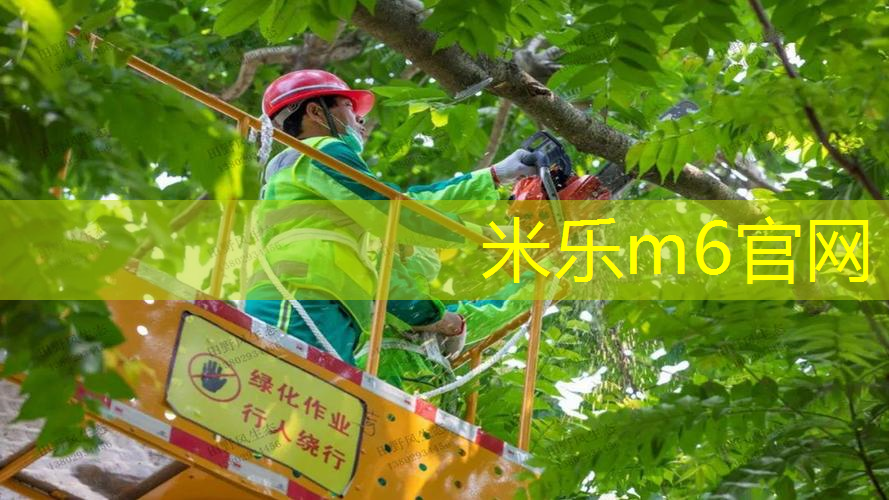 网球拍线是多少磅合适的