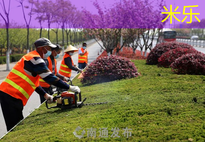 威尔逊网球拍坐标图