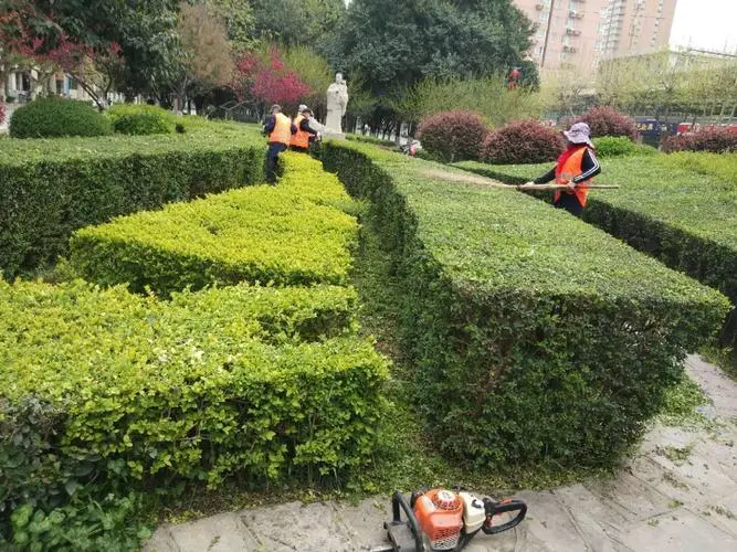 网球拍拉什么线比较好
