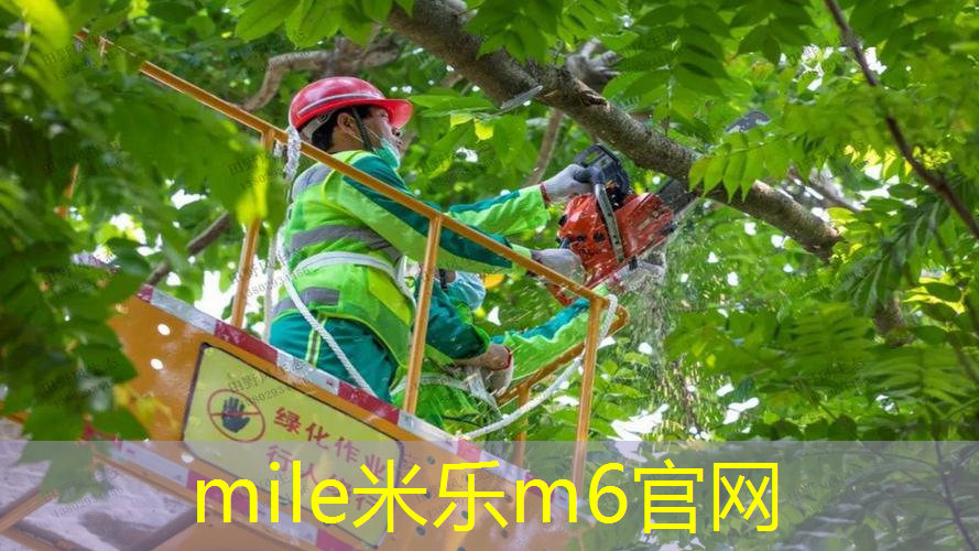 网球拍穿线要多长线合适