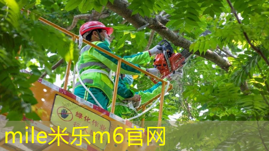 蛋仔派对竞速赛网球拍