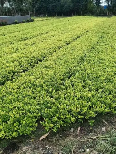 室内健身室窗户