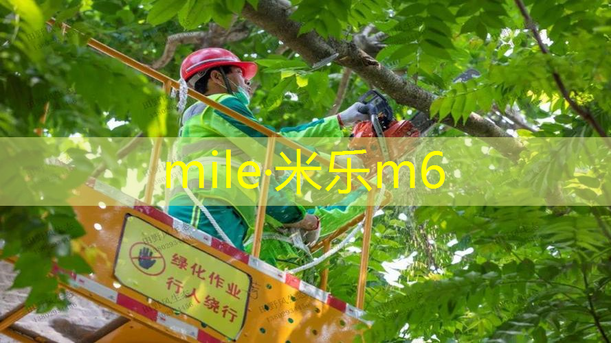 体育工程如何改善运动场地的信号覆盖和无线技术？
