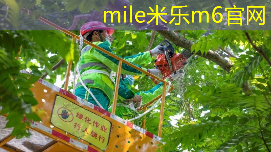 室内健身空气