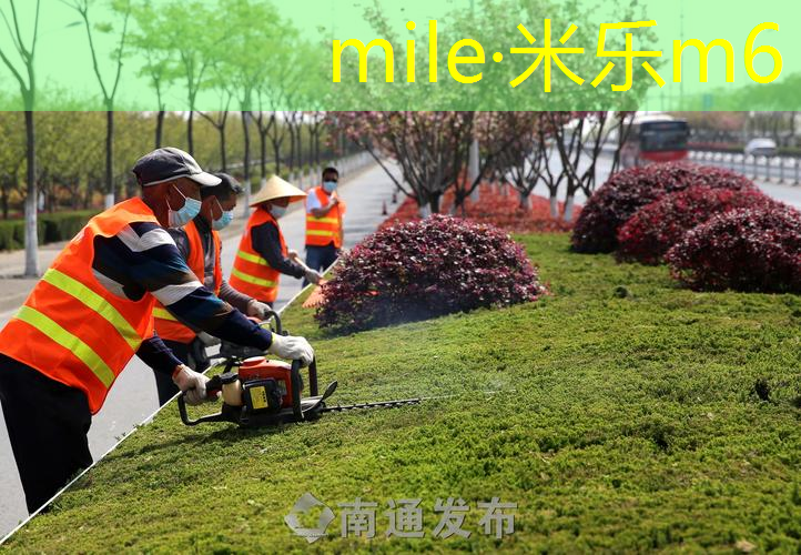 篮球专项器材是什么类别